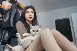 JK 被迫营业的猫猫